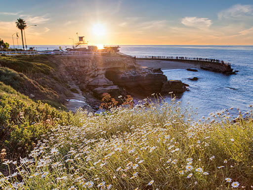 La Jolla Cove La Jolla Cove