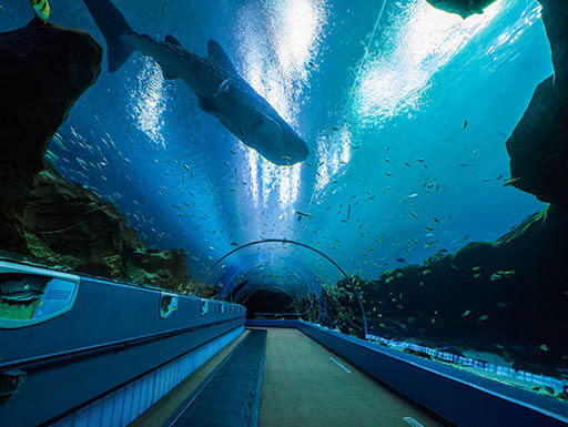 Things to Do in Atlanta: Top Spots for Food, Art, Entertainment, and More