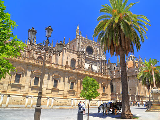Outside view of the beautiful Catedral de Sevilla, also known as the Cathedral of Saint Mary of the Sea, with visitors and donkeys enjoying the shade of a palm tree on a sunny day in Seville, Spain. Outside view of the beautiful Catedral de Sevilla, also known as the Cathedral of Saint Mary of the Sea, with visitors and donkeys enjoying the shade of a palm tree on a sunny day in Seville, Spain.