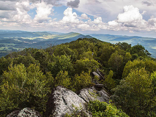 The Wilds of West Virginia: Top Spots for Nature Lovers