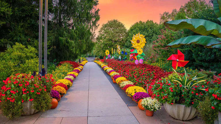 botanical-garden