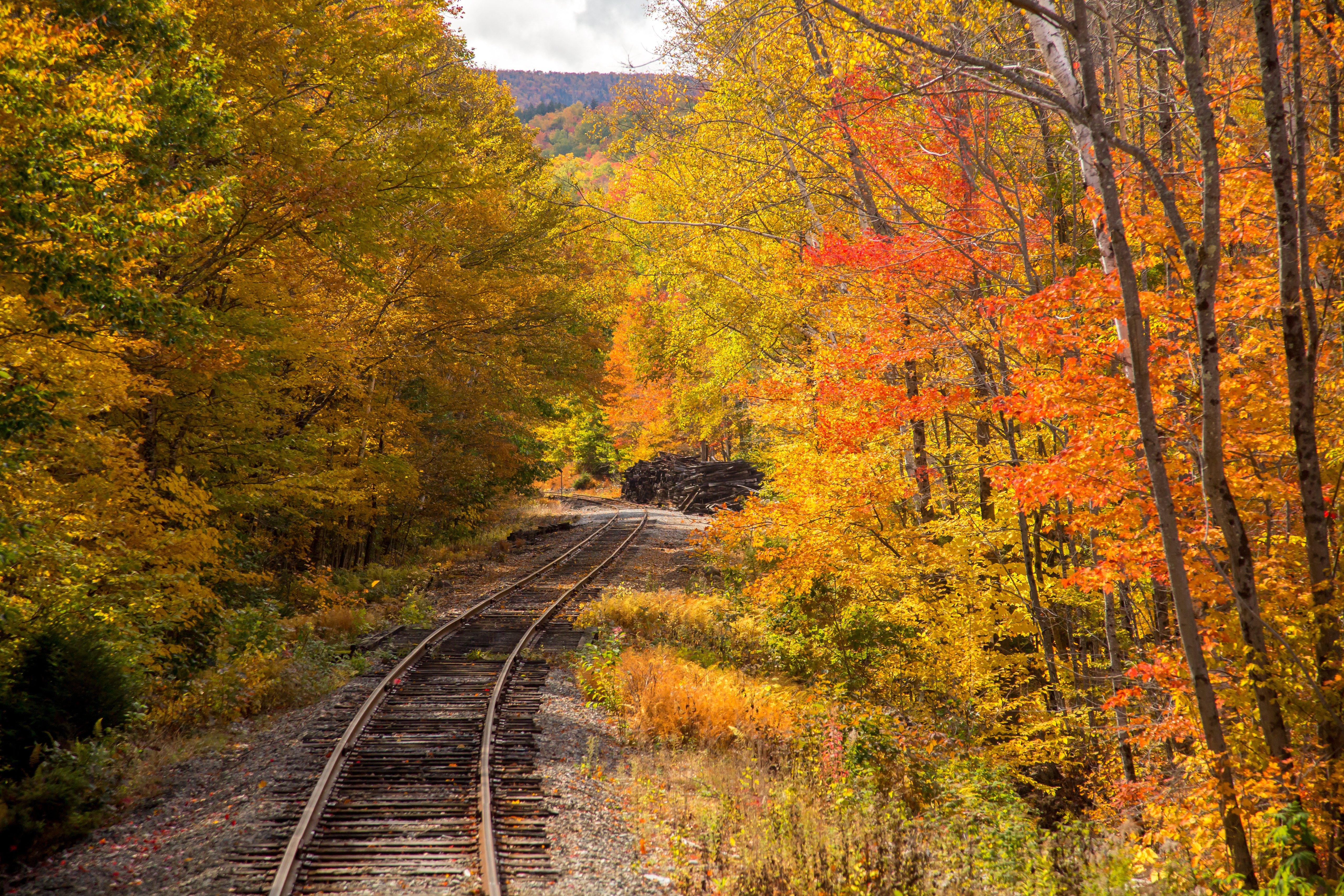 View of the White Mountain National Forest from the Conway Scenic Railway on the Crawford Notch route, just west of Bartlett, New Hampshire. Hardwood trees are showing peak fall color. Conway Scenic Railroad