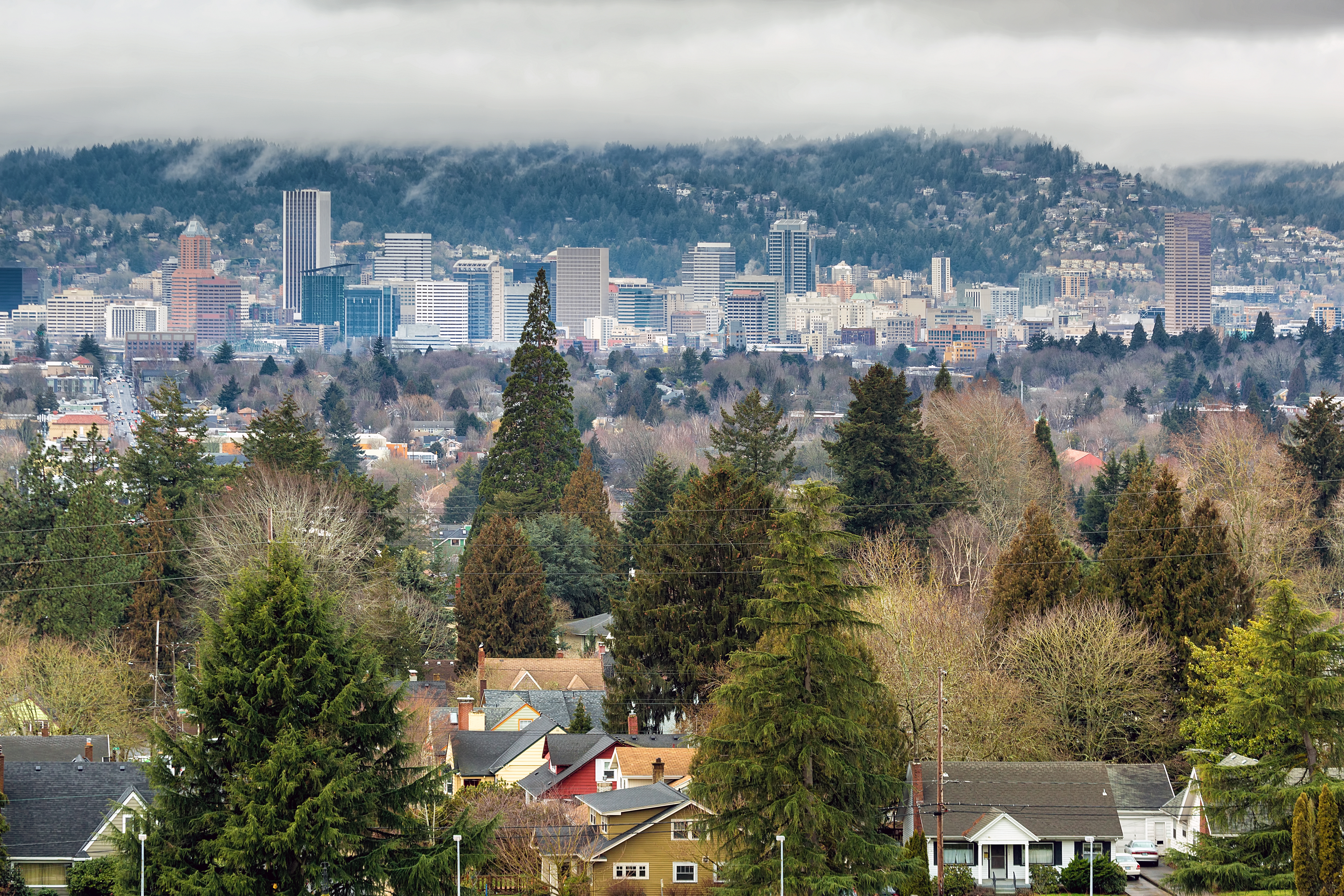 Portland City Skyline from Mount Tabor mount_tabor