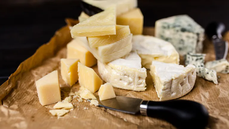 Laval cheese tasting