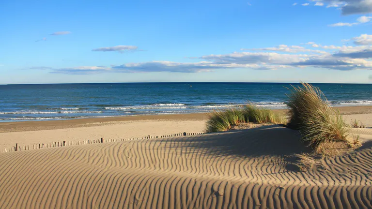 clear-sandy-beach-with-sea-in-background