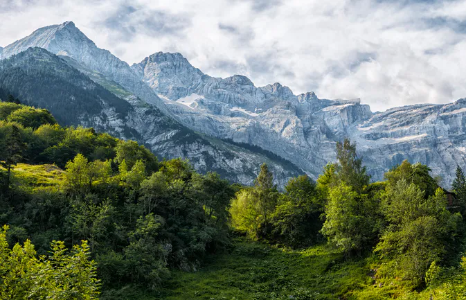 French Pyrenees