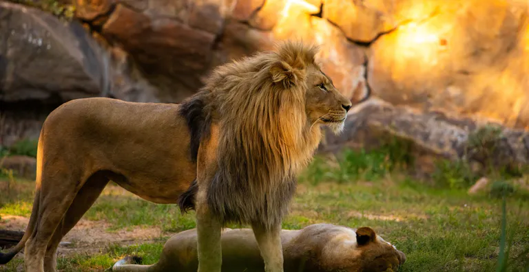 Berlin Zoological Garden