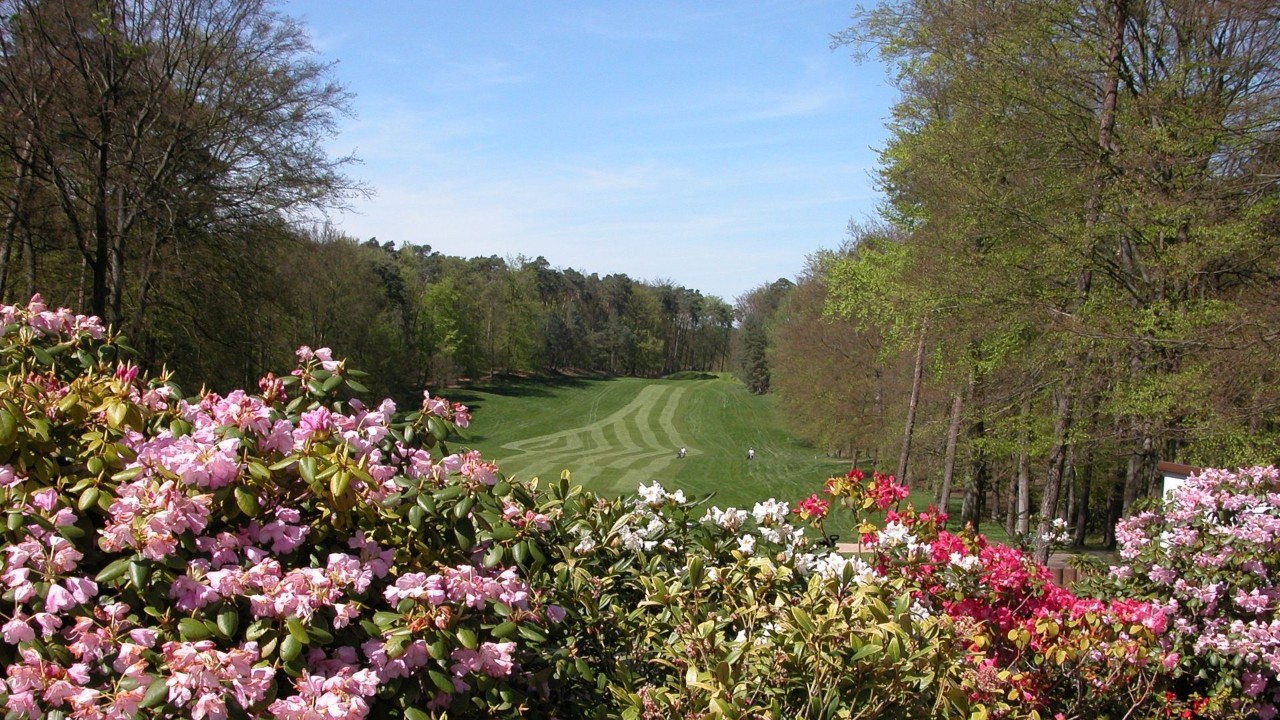 Car Rental Kaiserslautern