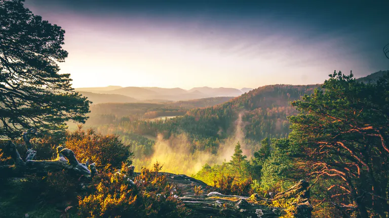 Palatinate Forest Kaiserslautern