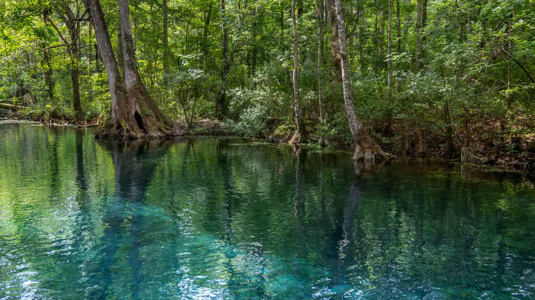 lake at silver springs