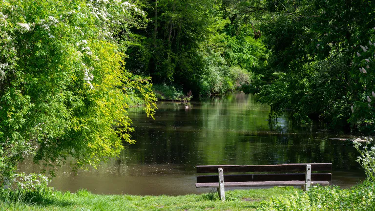eindhoven park
