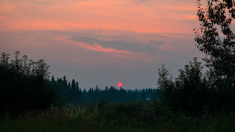 Midnight Sun