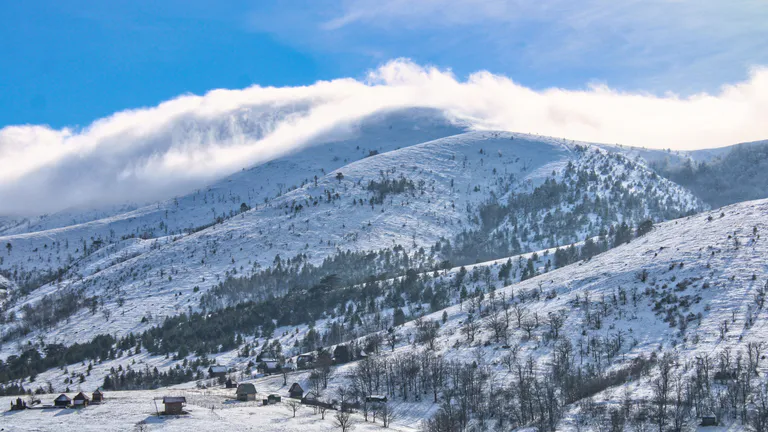 Zlatibor