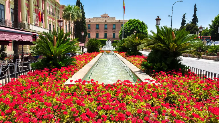 Plaza de la Flores