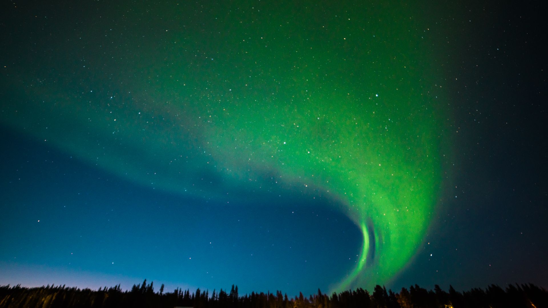 Chase the Northern Lights Kiruna