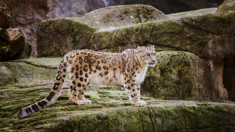 Zoo Basel