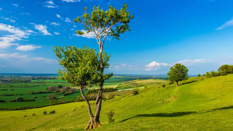 Chiltern Hills Bedfordshire