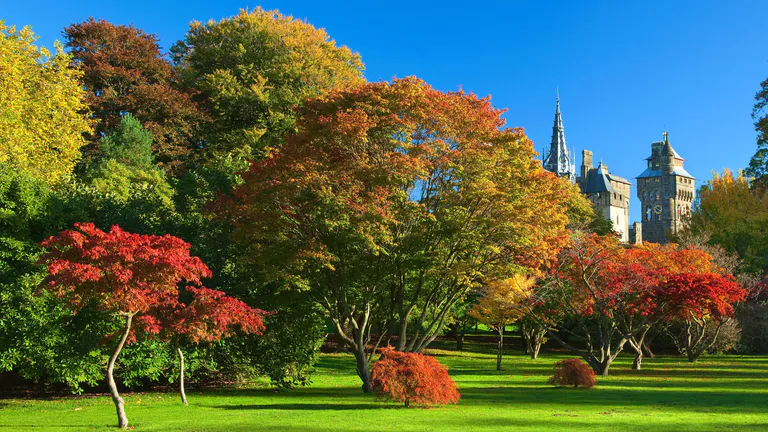 bute park