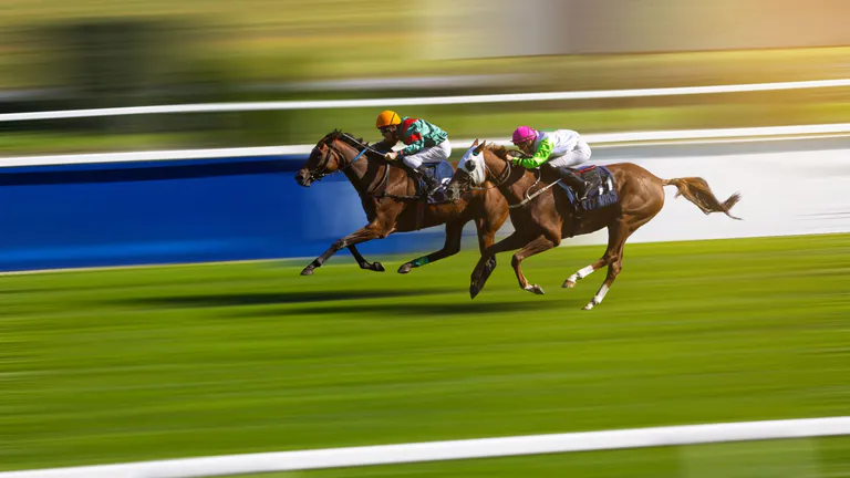 chester racecourse