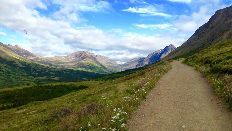 Flattop trail
