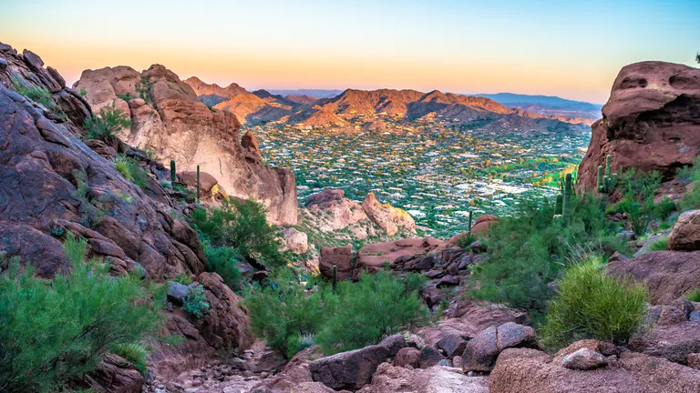 phoenix