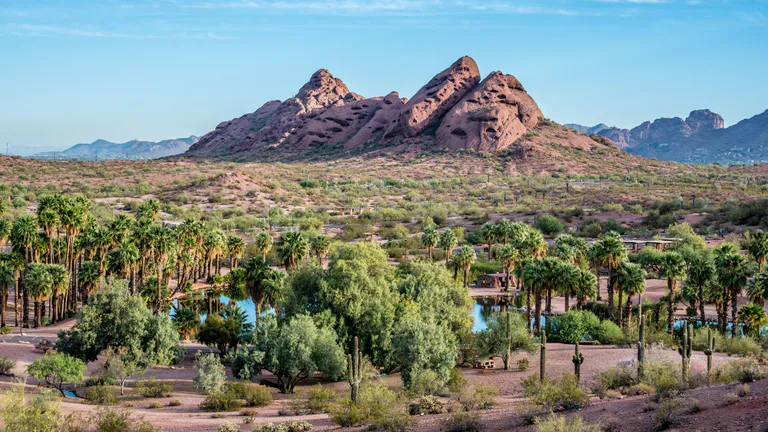phoenix 