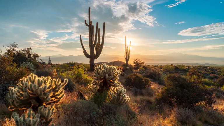 Sonoran Desert Preserve