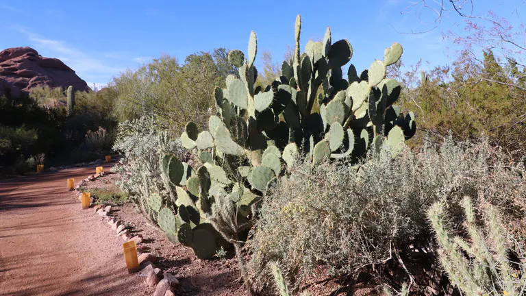 Luther Burbank Home & Gardens