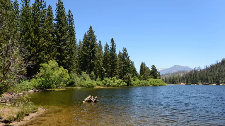 Sequoia National Forest