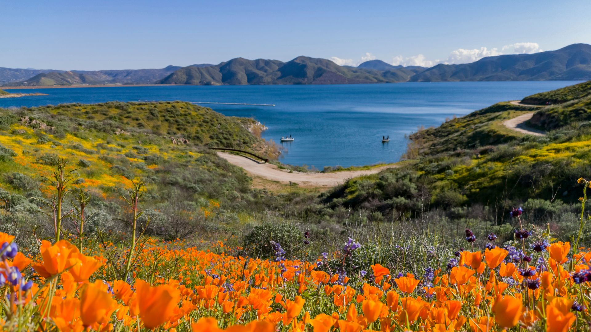 diamond valley lake