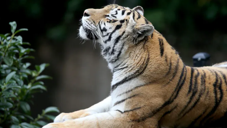 Oakland Zoo