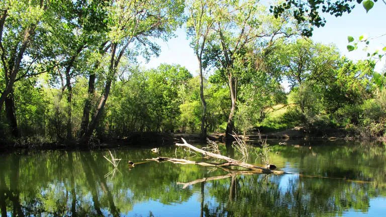 Shadow Cliffs Regional Recreation Area