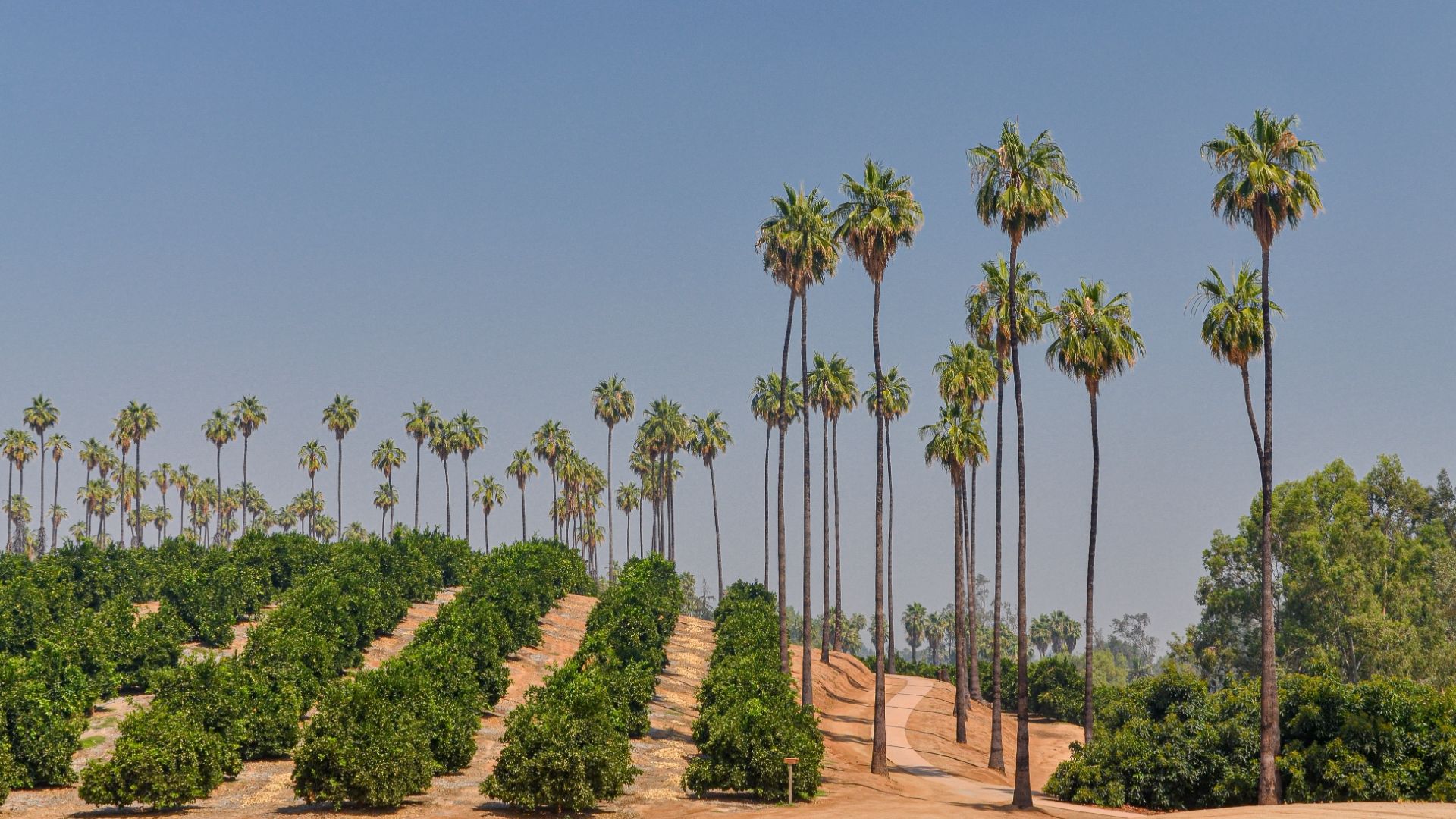 Citrus State Historic Park in California.
