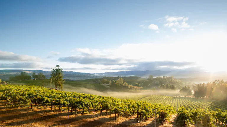 napa_valley