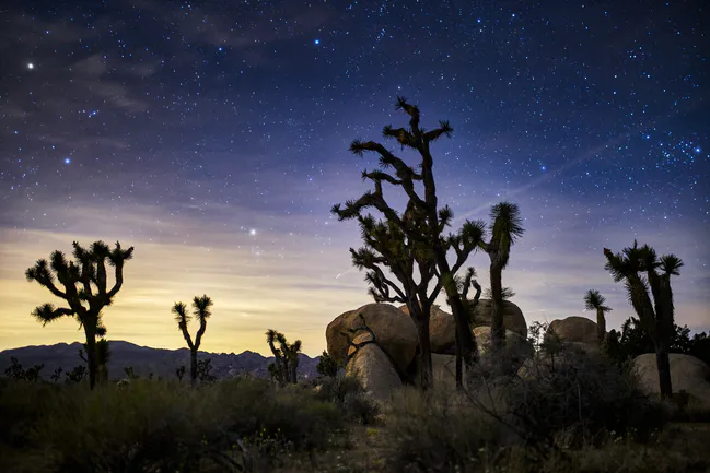 joshua tree national park at night