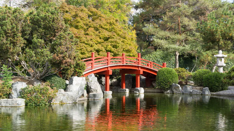 Japanese Friendship Garden