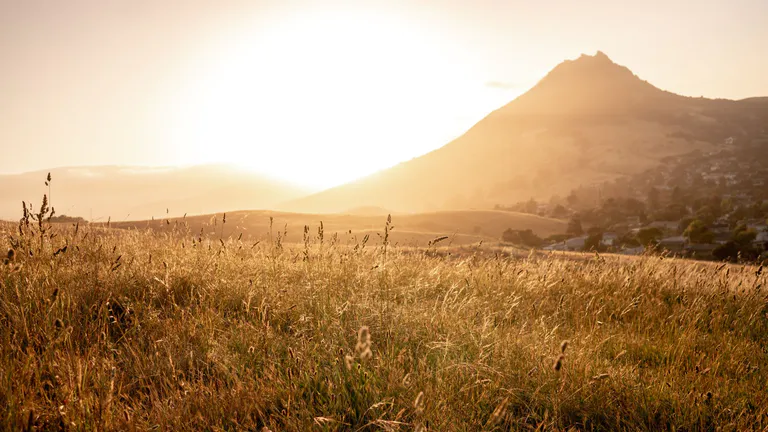 sunset over wheat field overlooking bishop peak