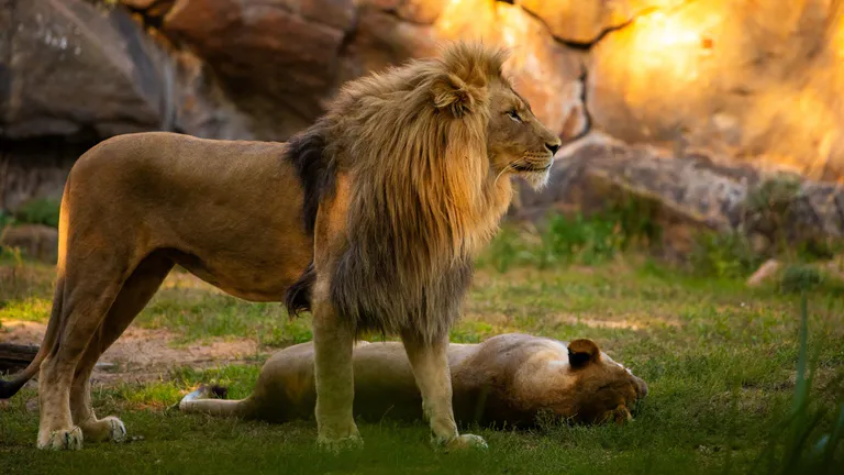 Santa Barbara Zoo