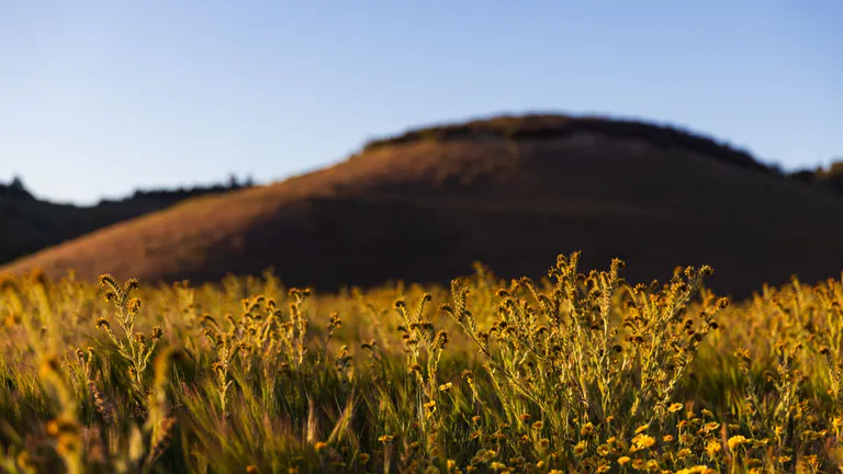 Los Flores Ranch Park