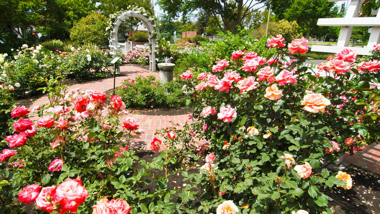 Luther Burbank Home & Gardens