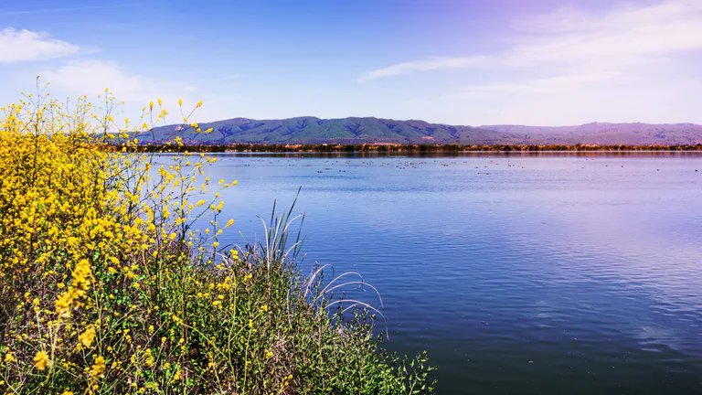 baylands park