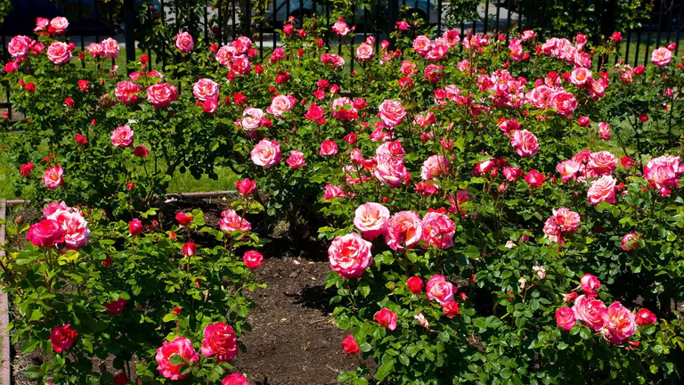 Gardens of the World