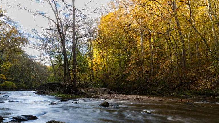 newark-white-clay-creek