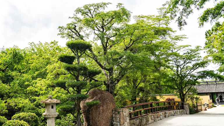 morikami museum and japanese gardens
