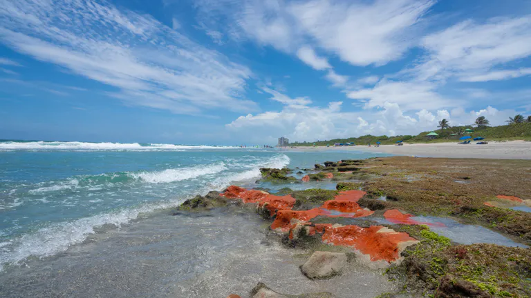Red Reef Park