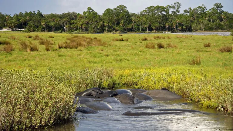 Tomoka State Park