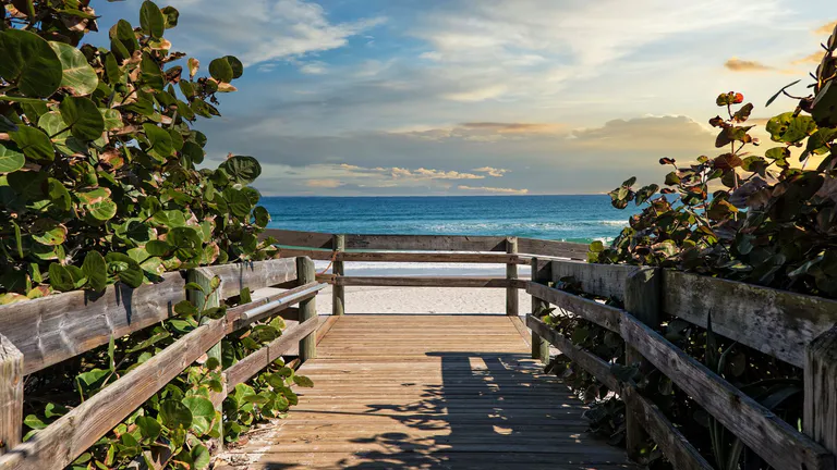 coconut point park
