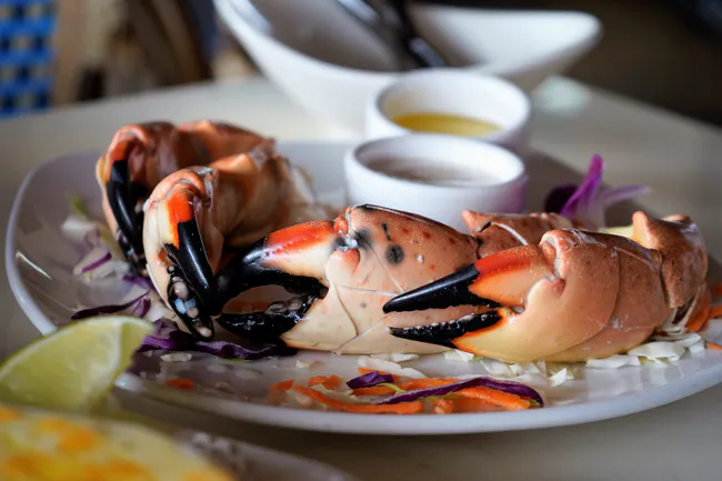 joe's stone crab