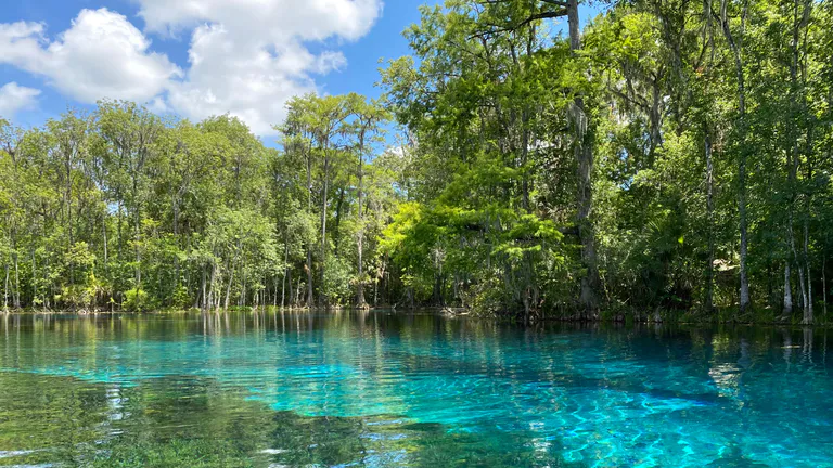 ocala Silver Springs State Park