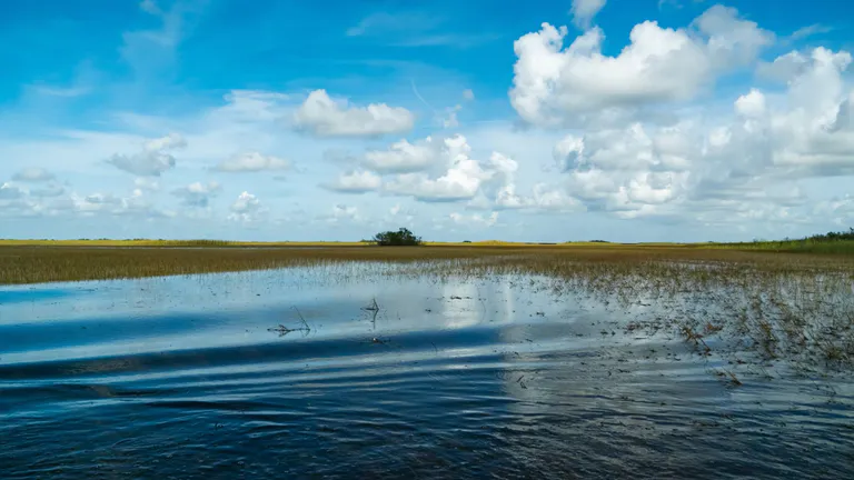 Everglades